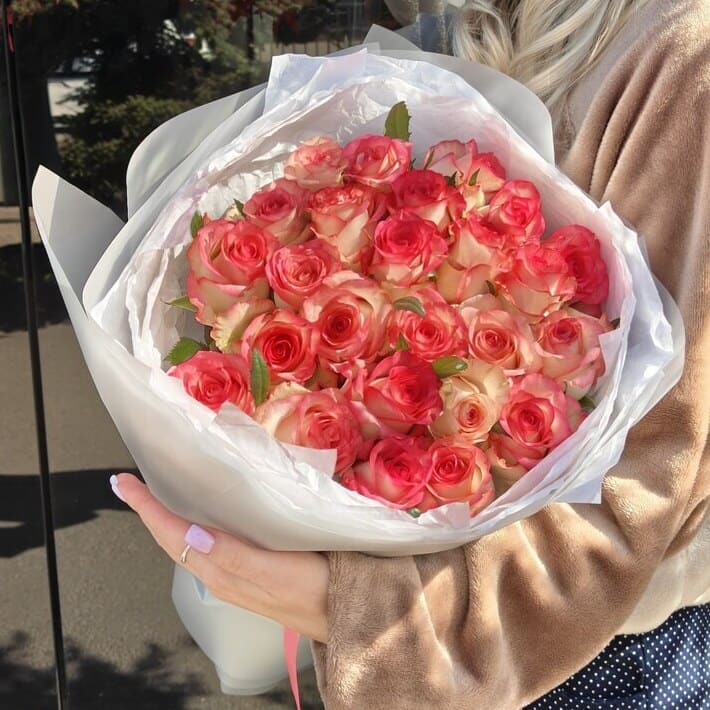 Роза Джумилия  в упаковке 25шт